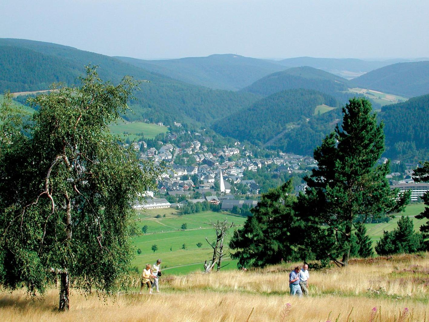 Komfort-Fewo Blickfang Willingen*** Willingen  Eksteriør billede